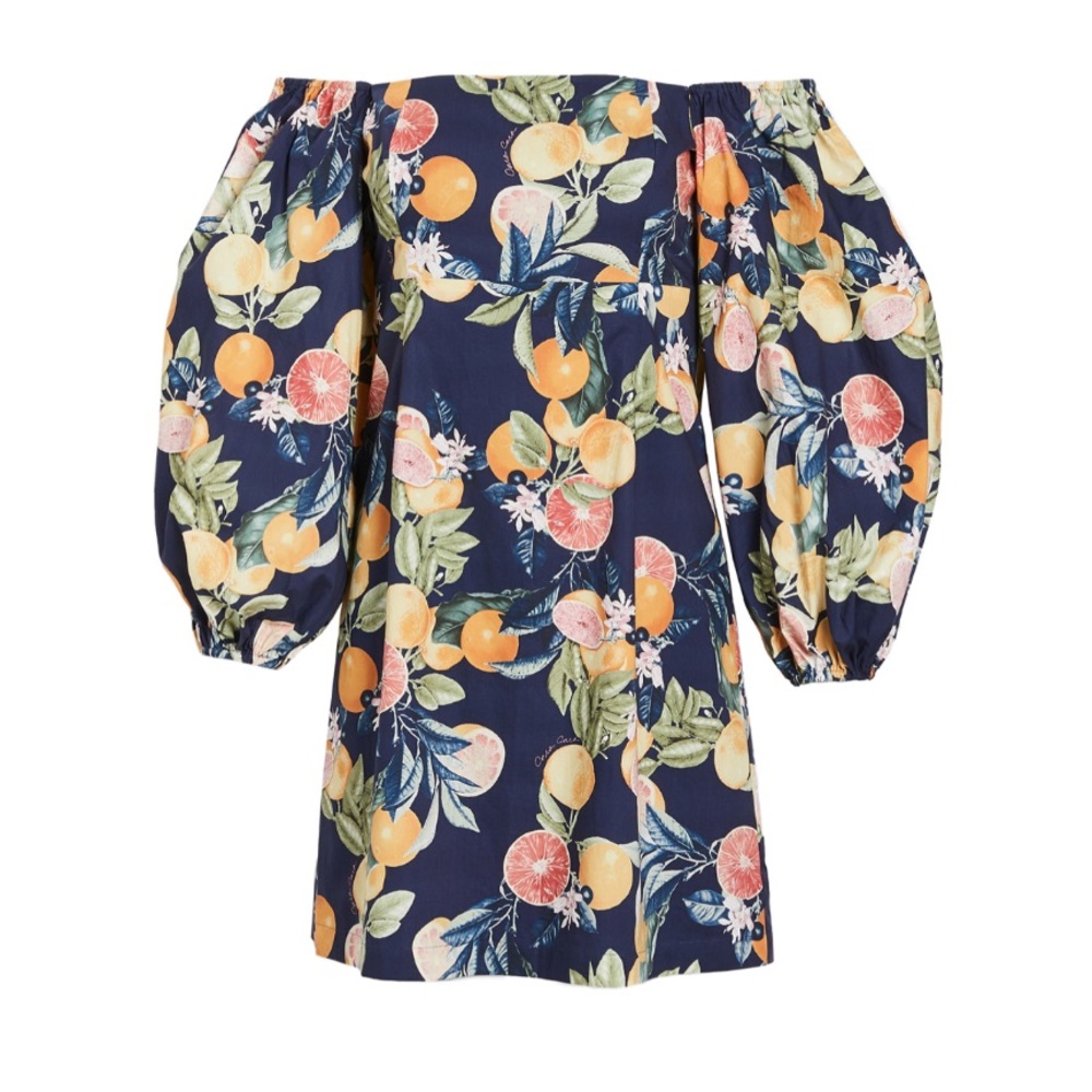👀 ISO Cara Cara Montauk Dress Small